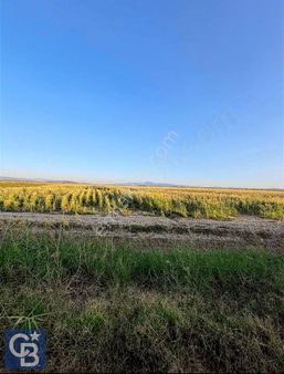 Foça Yeni Bağarasında Satılık 1787m2 Hobi Bahçesi