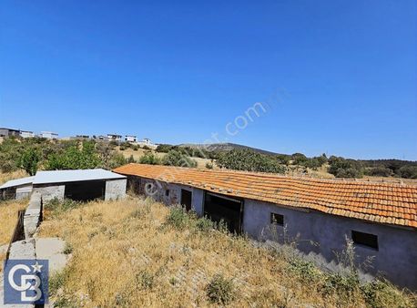 Aliağa Aşağışakranda Deniz Manzaralı 12.5 Dönüm Tarla Ve Çiftlik