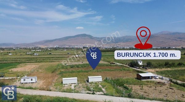 Türkelli'de Tapulu-r.taksimli-verimli 314 M2 Hobi Bahçesi