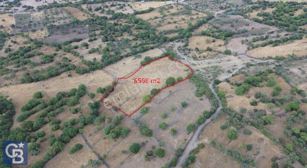 Karakuzu'ya 400 M. Yolu Olan 6568 M2 Satılık Tarla