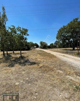 Albayrak'tan Merzifon Çevre Yolu'nun Altında Satılık Bağ