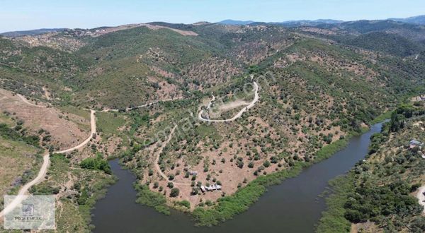 Ulamış Göl Manzaralı Zeytinlik Yol Cepheli Elektirik Su Mevcut