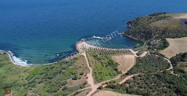 Bursa Mudanya Halilbey Ketendere De Satılık Çok Değerli Tarla