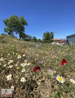 Çanakkale Merkez Kızılcaörende Satılık Arsa