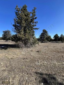 Çerçili Süpürgelik'te 3.300 M2 Satılık Kupon Arsa