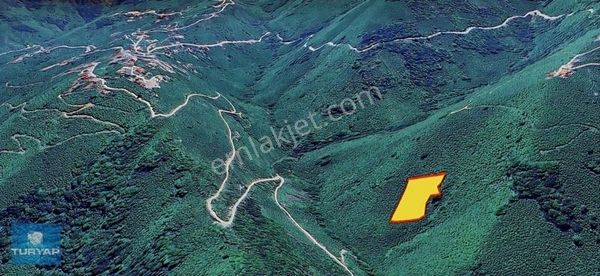 Alınca Mahallesi'nde Acil Satılık 10 Dönüm Bahçe