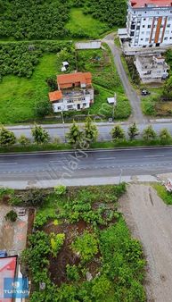 Ordu Turnasuyu Mahallesi Anayol Üzeri Kiralık Arsa