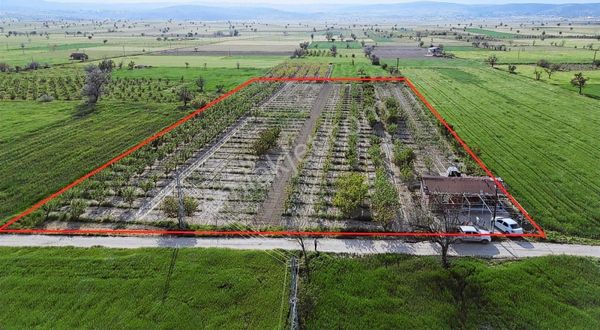 Korkuteli Küçükköy Mahallesinende Naldöken Yolu Kenarı 9722 M2