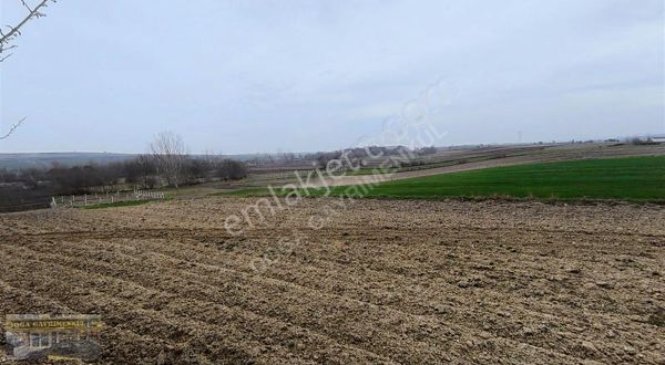 Saray Çayla 7.213 M² Tarla