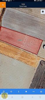 Büyükördekte Müstakil Tek Tapu 10 Dönüm Kupon Parsel