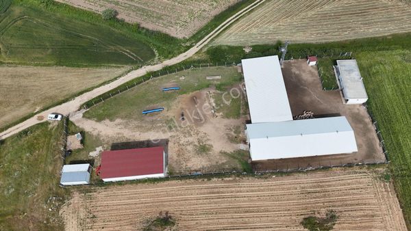 Kırklareli De Hazır Ruhsatlı Çiftlik