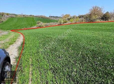 Malkara'da Müstakil Tapulu Kelepir Satılık Tarla