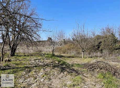 Kirazlı Köyünde Tek Tapu 439 M2 Bahçe