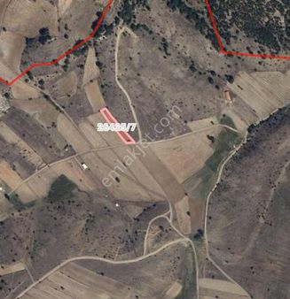 Buldukpınar Mahallesi'nde Satılık Fırsat Tarla