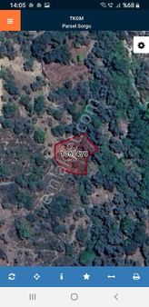 Muğla Milas Çomakdağda Yatırımlık Zeytinlik