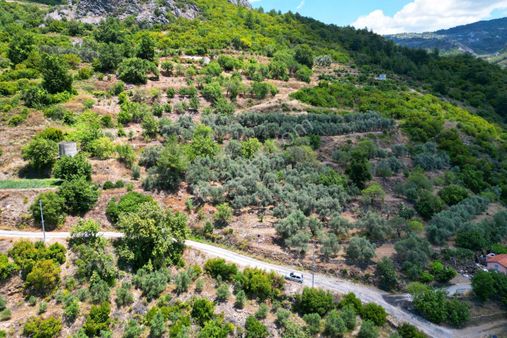 Alanya Mahmutseydi'de Satılık 4.115 M² Tarla