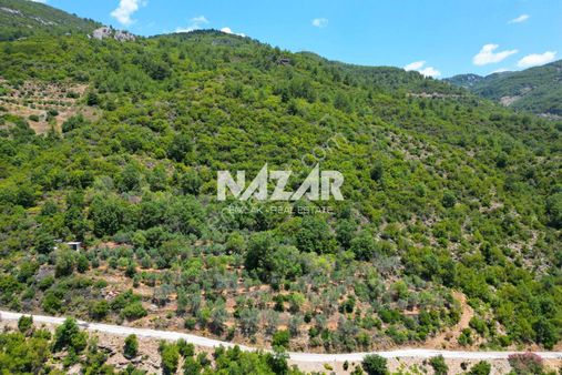 Alanya Mahmutseydi'de Satılık 1.411 M² Tarla