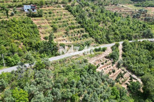 Alanya Türktaş'ta Satılık 863 M² Tarla