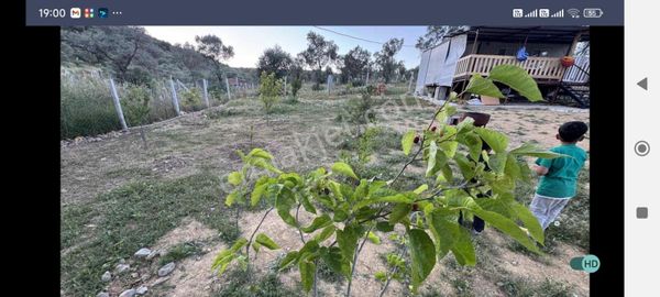 Torbalı Çapak 585 Mk Miras Hisse İçinde Ev Var.