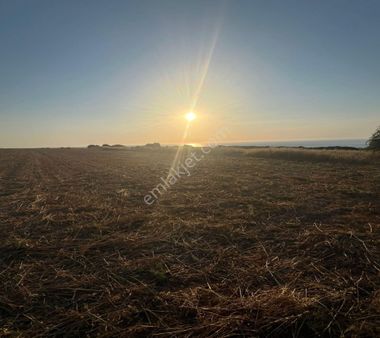 Deniz Manzaralı Yenierenköy De 7.050 M2 Tarla