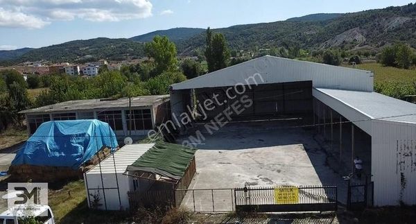 Bilecik Yenipazar 909 M2 Tek Katlı Çelik Depo Ve Arsası