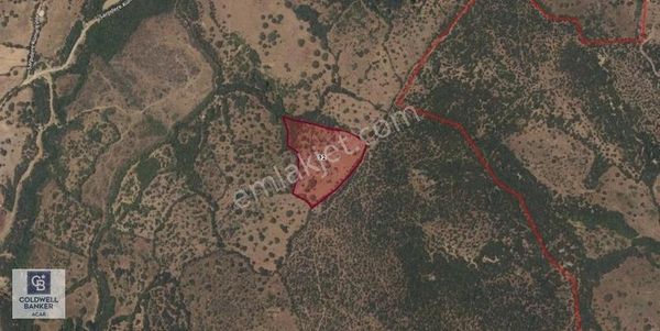 Coldwell Banker'den Müstakil Tek Tapu 11.350 M2 Arsa!