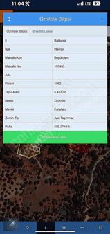 Koçerler'den Havran Büyükderede Köyünde 8878m2 Satılık Zeytinlik