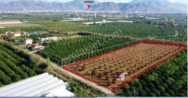 Muğla Ortaca Arıkbaşı İmar Sınırında 10299 M2 Müstakil Tapu Arsa