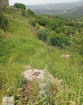 Köy İçi Arsa Niteliğinde Dört Dönüm Arasi