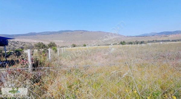 Aliağa Helvacı Da Satılık Tarla