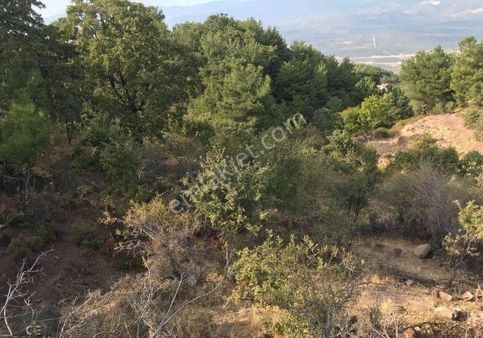 Fırsat!!! Havran Kocadağ Da Yatırımlık