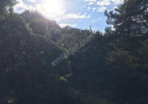 Fırsat!!! Havran Kocadağda Yatırımlık