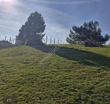 Fırsat!!! Toprağım Olsun Diyene !!!