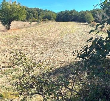 Kırklareli Vize Evrencik 3.444 M2 Müstakil Tapulu Ormana Cephe