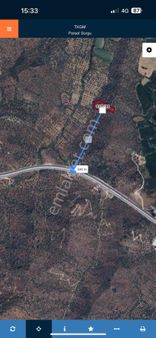 Muğla Milas Bafra Gölünde Satılık Zeytinlik