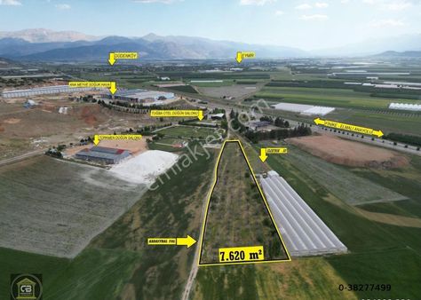 Elmalı Düdenköy Mah.7.620 M² Elma Bahçesi Satılıktır