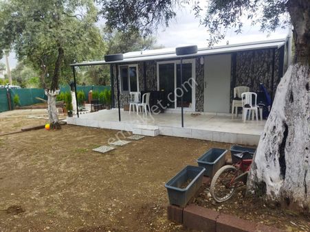 İzmir Bayındır Zeytinovamh Satlık Bahçe