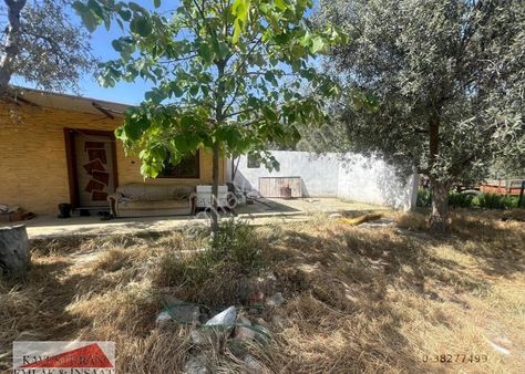 Kavuşturan Emlak'tan Zeytinli Beyobada Satılık Zeytinlik Bahçe