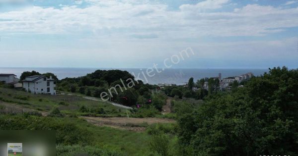 Yalova Çınarcık Koruda Deniz Manzaralı İmarlı Arsa