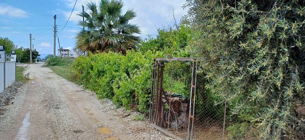 Gökova Körfezinin Cenneti Milas Ören De Asfalt Yola Cepheli Tarla