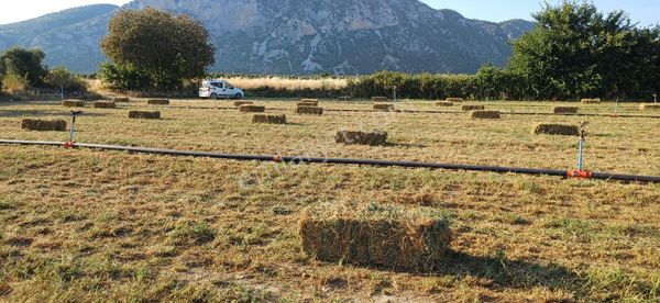 Gökova Körfezi Nin Cenneti Milas Ören De Satılı Tarla