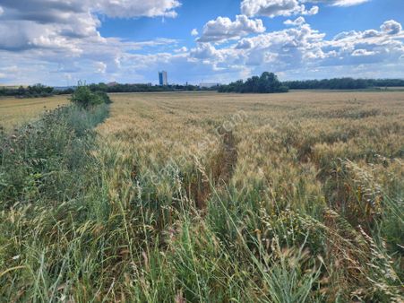 Edirne Kocasinan (100 Yıl) Mah'de, İmar Sınırında, Satılık Tarla