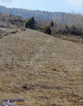 İdealista'dan Arslanköyde Ana Yol Cepheli 7650 M2 Satılık Bahçe