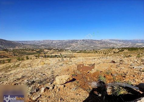 İdealista'dan Mut Çampınar 14,5 Dönüm Sulu Tarlamız Satıştadır