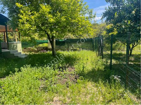 Muğla Ula Gökova’da 8.000 M2.narenciye Bahesi Satılık