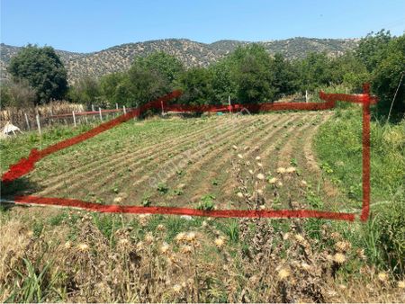 Bayındır Zeytinova Mh Yatırımlık Bahçe