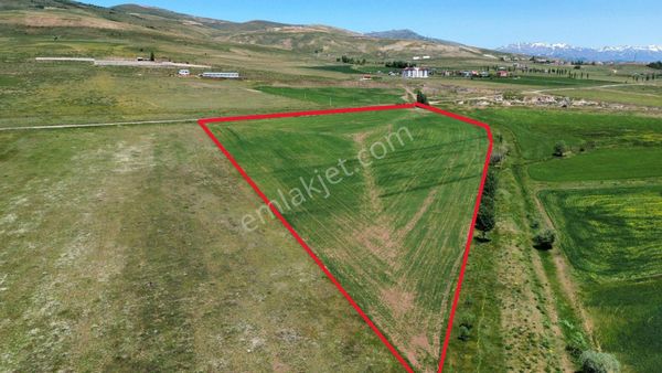 Hızır Gündoğdu'dan Aydıntepe'de 39.000m2 Satılık Tarla