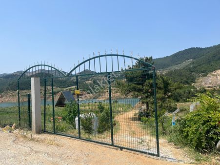 İzmir Ödemiş Aktaş Barajı Satılık Meyve Yetiştirme Bahçesi