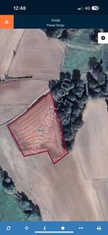 Edirne’de Acil Yatirimlik Tarla