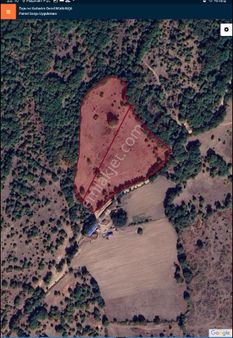 Balya Danişment Mahallesin'de 2 Adet Satılık Tarla